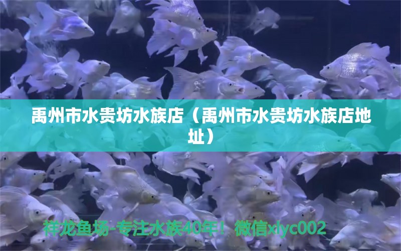 禹州市水貴坊水族店（禹州市水貴坊水族店地址） 全國水族館企業(yè)名錄