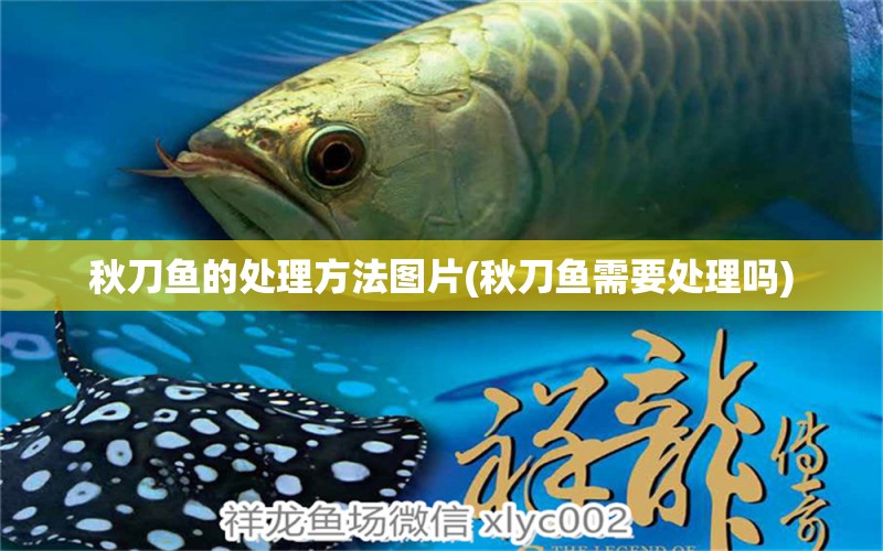 秋刀魚的處理方法圖片(秋刀魚需要處理嗎) 養(yǎng)魚的好處