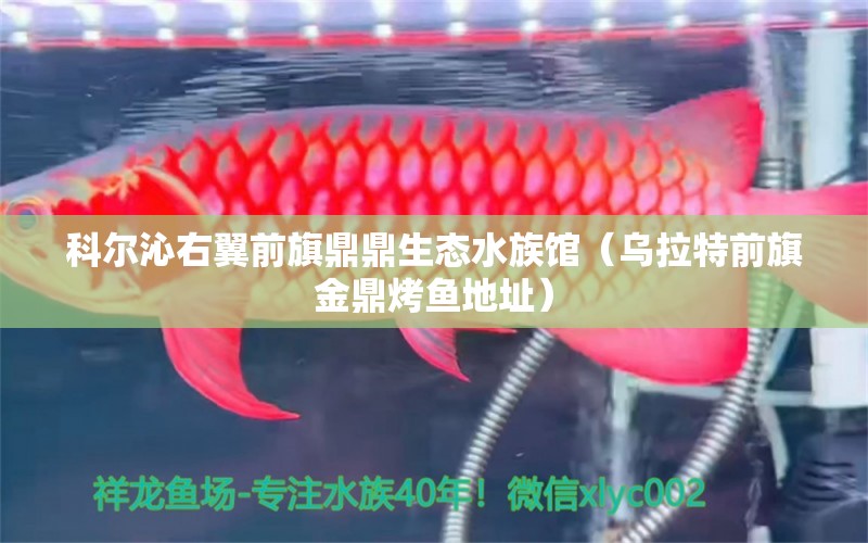 科爾沁右翼前旗鼎鼎生態(tài)水族館（烏拉特前旗金鼎烤魚(yú)地址） 全國(guó)水族館企業(yè)名錄