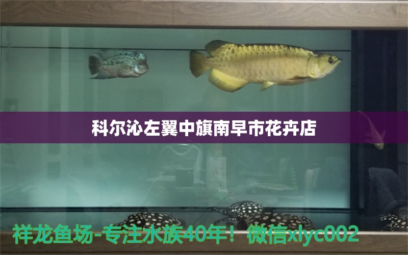 科爾沁左翼中旗南早市花卉店 全國水族館企業(yè)名錄