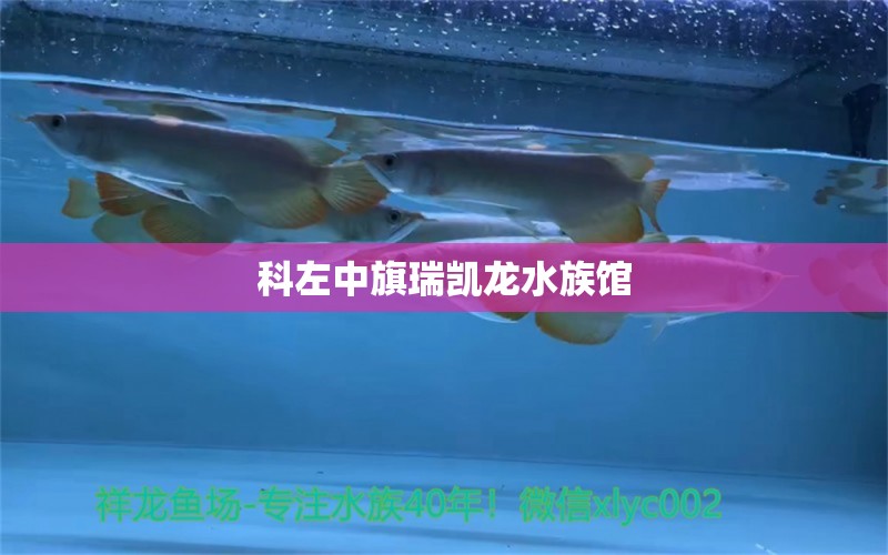 科左中旗瑞凱龍水族館