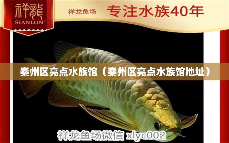 秦州區(qū)亮點水族館（秦州區(qū)亮點水族館地址） 全國水族館企業(yè)名錄