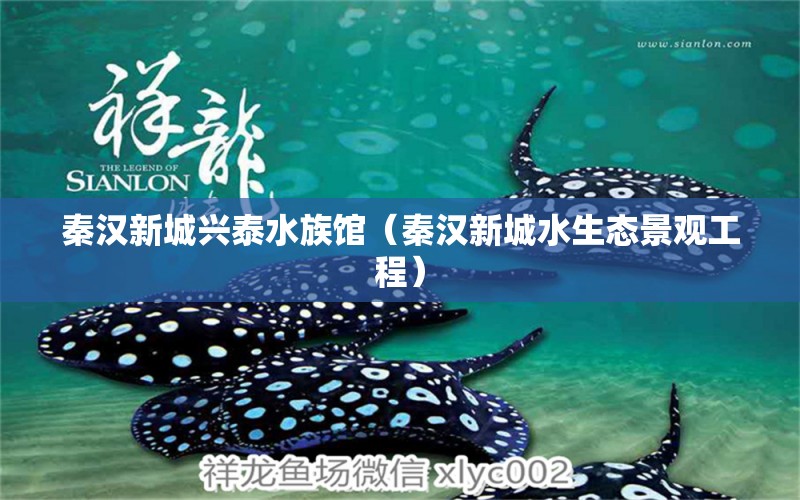 秦漢新城興泰水族館（秦漢新城水生態(tài)景觀工程）