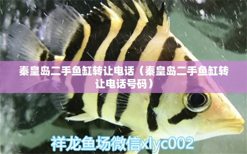 秦皇島二手魚缸轉(zhuǎn)讓電話（秦皇島二手魚缸轉(zhuǎn)讓電話號碼） 養(yǎng)魚的好處