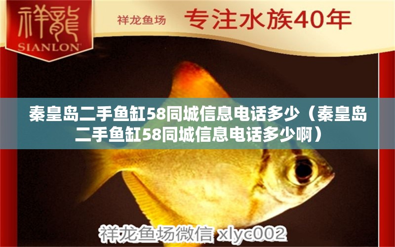 秦皇島二手魚缸58同城信息電話多少（秦皇島二手魚缸58同城信息電話多少?。? title=