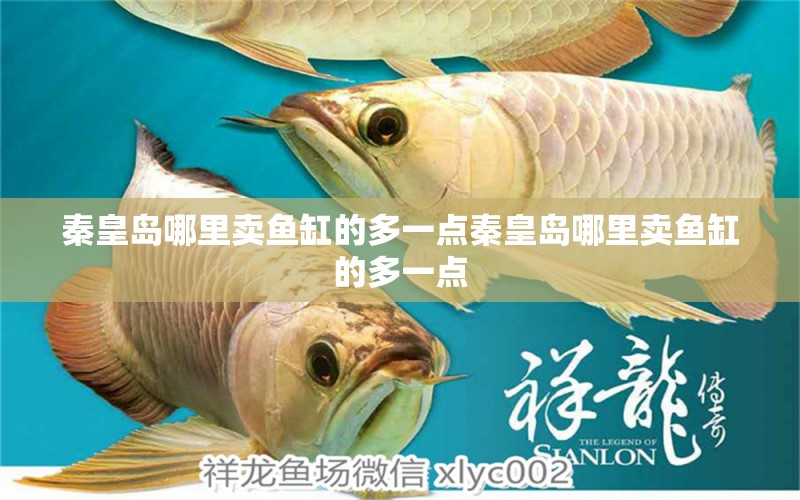 秦皇島哪里賣魚缸的多一點秦皇島哪里賣魚缸的多一點