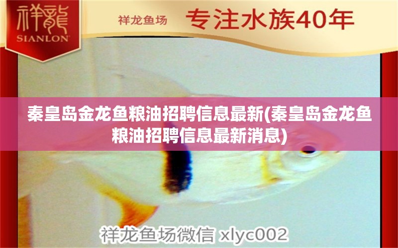 秦皇島金龍魚糧油招聘信息最新(秦皇島金龍魚糧油招聘信息最新消息) 青龍魚