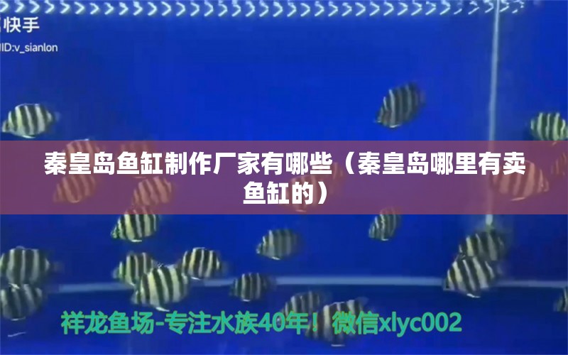 秦皇島魚缸制作廠家有哪些（秦皇島哪里有賣魚缸的） 水族雜談