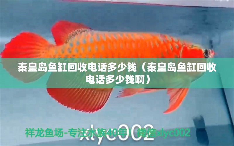 秦皇島魚(yú)缸回收電話多少錢（秦皇島魚(yú)缸回收電話多少錢?。? title=