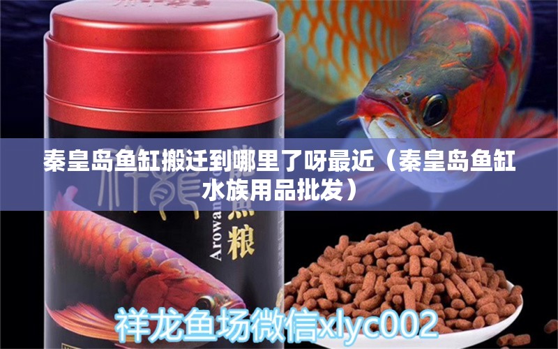 秦皇島魚(yú)缸搬遷到哪里了呀最近（秦皇島魚(yú)缸水族用品批發(fā)） 水族用品