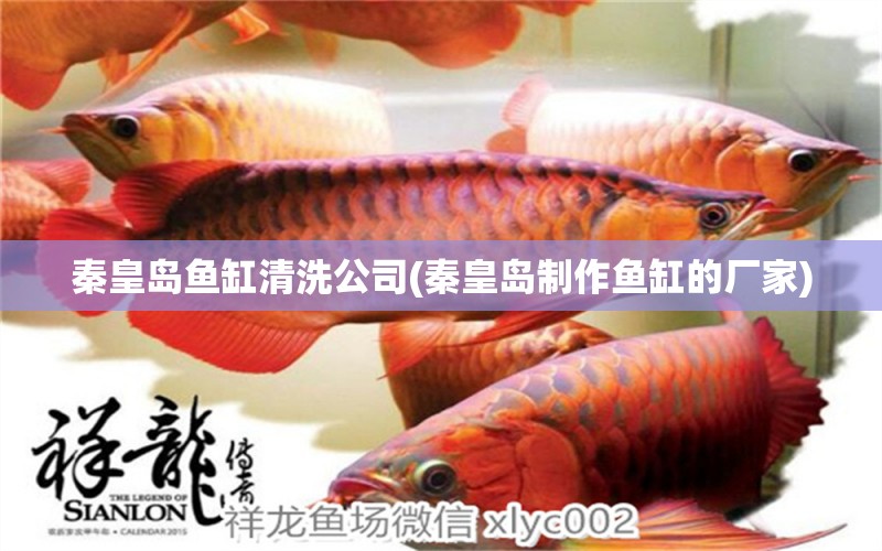 秦皇島魚缸清洗公司(秦皇島制作魚缸的廠家)