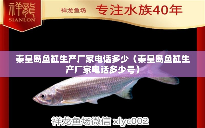 秦皇島魚缸生產(chǎn)廠家電話多少（秦皇島魚缸生產(chǎn)廠家電話多少號(hào)） 南美異形觀賞魚