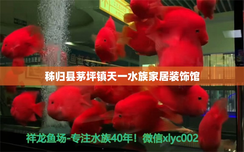 秭歸縣茅坪鎮(zhèn)天一水族家居裝飾館 全國水族館企業(yè)名錄