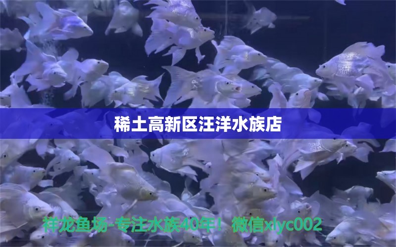 稀土高新區(qū)汪洋水族店