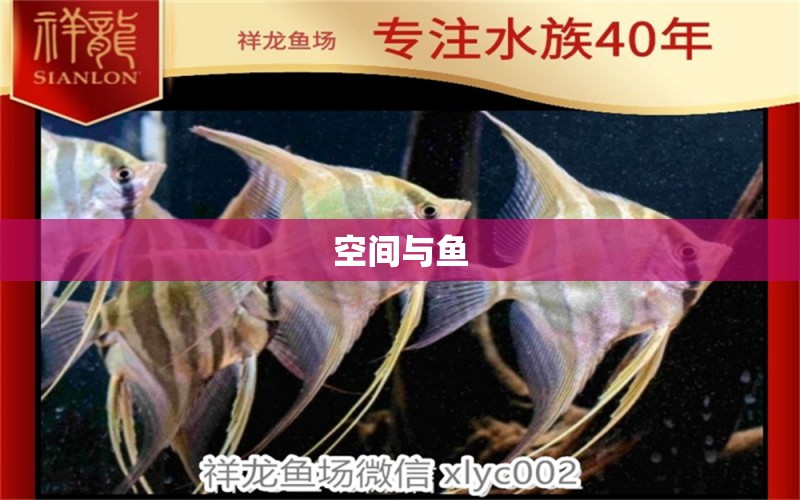 空間與魚 觀賞魚論壇 第2張