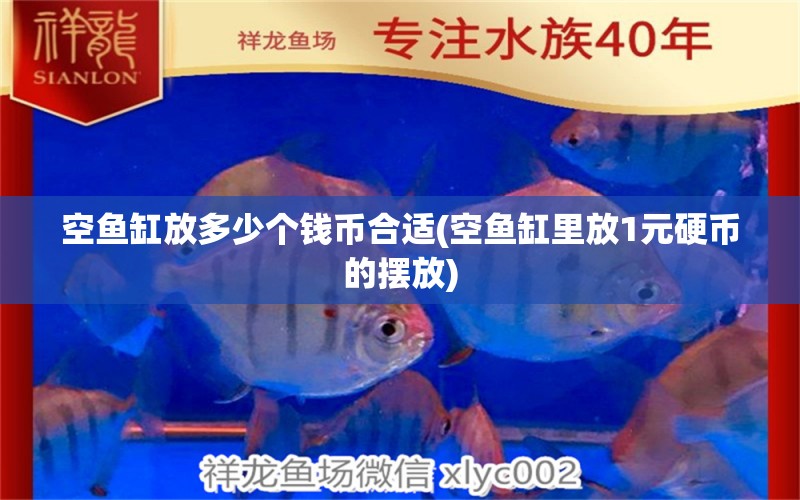 空魚缸放多少個錢幣合適(空魚缸里放1元硬幣的擺放) 龍鳳鯉魚