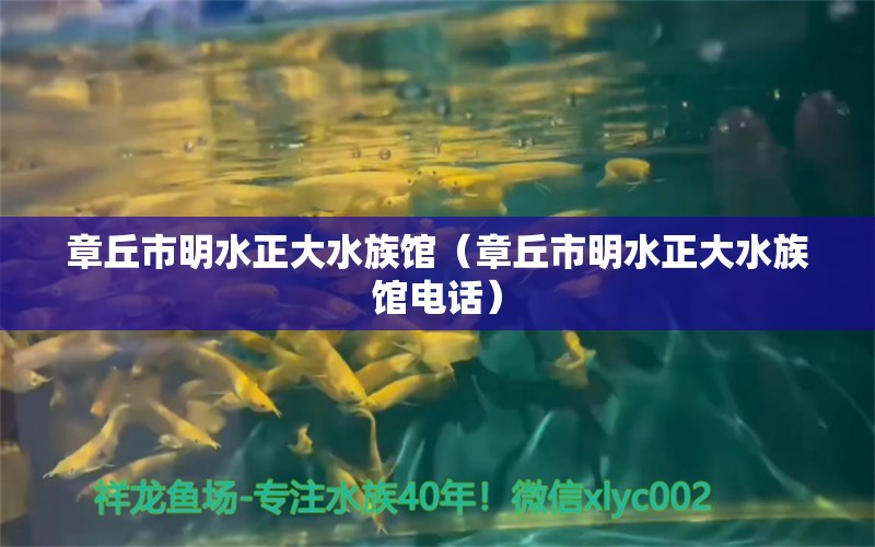 章丘市明水正大水族館（章丘市明水正大水族館電話）