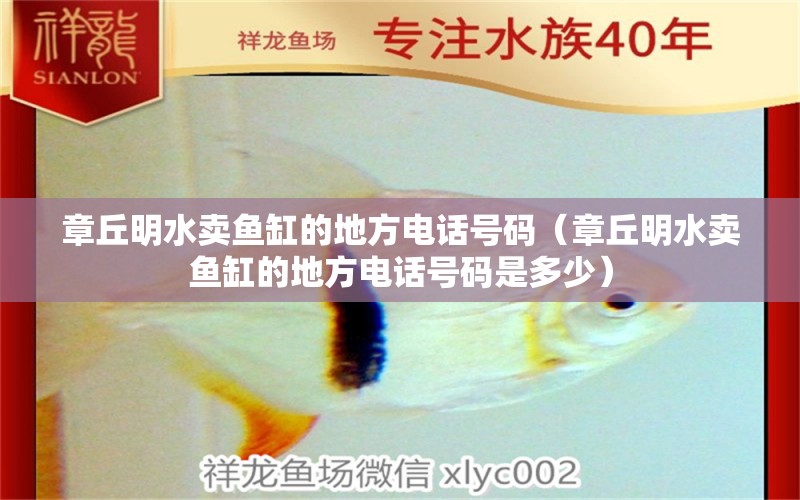 章丘明水賣魚缸的地方電話號碼（章丘明水賣魚缸的地方電話號碼是多少）