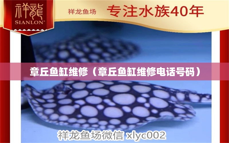 章丘魚缸維修（章丘魚缸維修電話號(hào)碼） 其他品牌魚缸