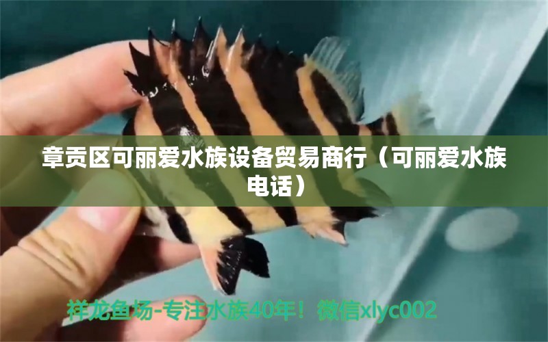 章貢區(qū)可麗愛水族設(shè)備貿(mào)易商行（可麗愛水族電話）