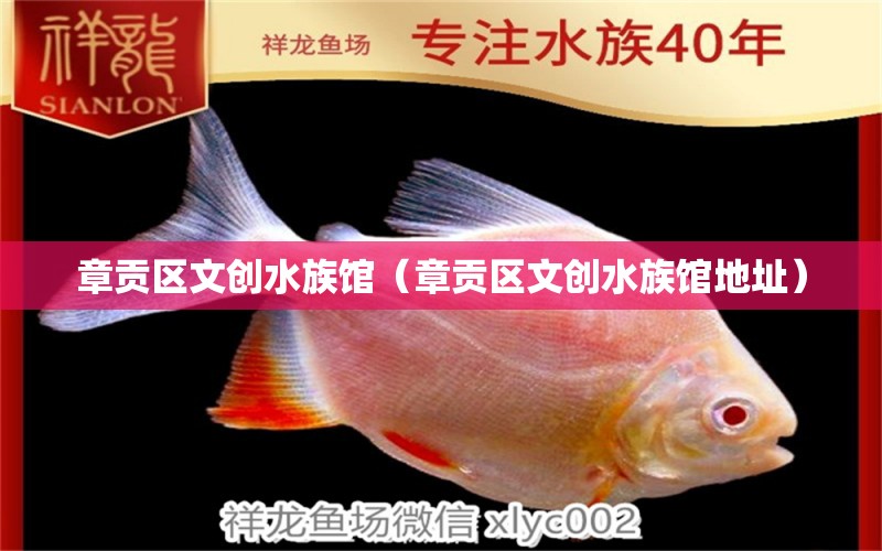 章貢區(qū)文創(chuàng)水族館（章貢區(qū)文創(chuàng)水族館地址） 全國水族館企業(yè)名錄