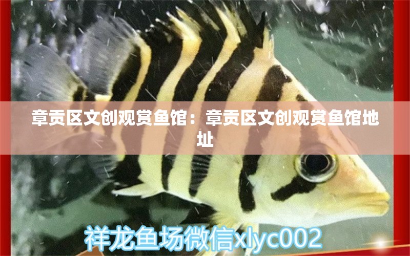 章貢區(qū)文創(chuàng)觀賞魚館：章貢區(qū)文創(chuàng)觀賞魚館地址 全國水族館企業(yè)名錄