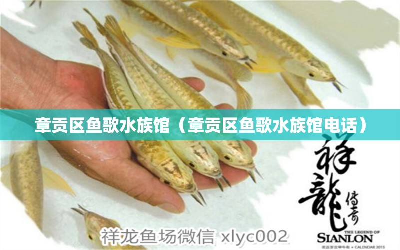 章貢區(qū)魚(yú)歌水族館（章貢區(qū)魚(yú)歌水族館電話） 全國(guó)水族館企業(yè)名錄