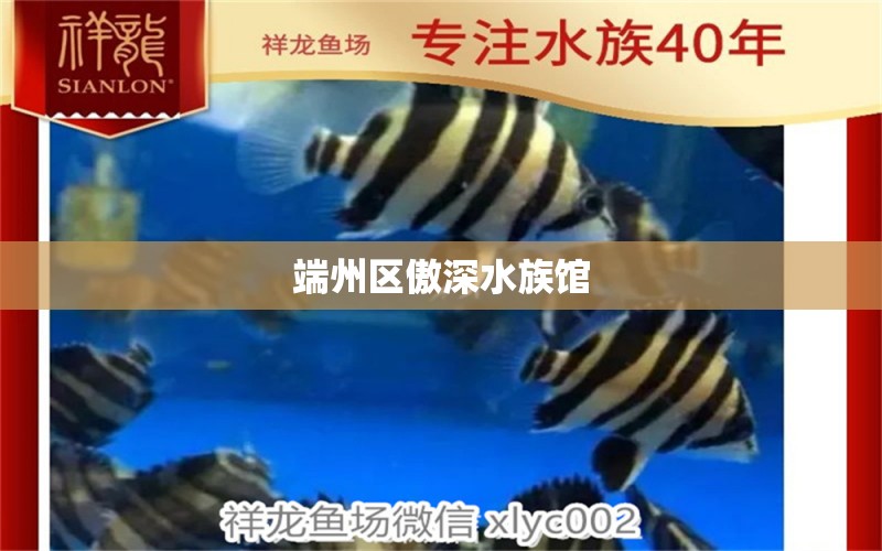 端州區(qū)傲深水族館 全國水族館企業(yè)名錄