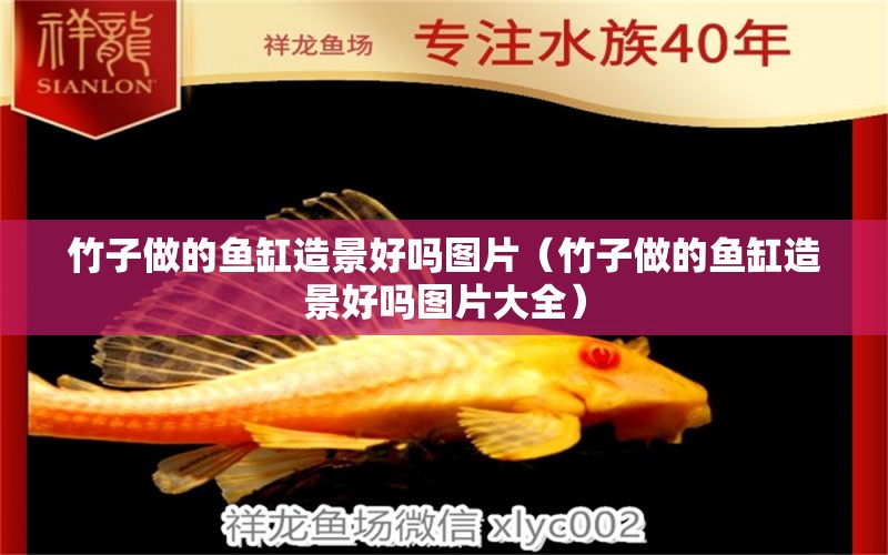 竹子做的魚缸造景好嗎圖片（竹子做的魚缸造景好嗎圖片大全）