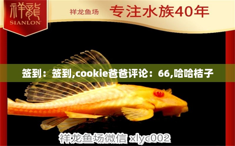 簽到：簽到,cookie爸爸評(píng)論：66,哈哈桔子 觀賞魚論壇 第2張