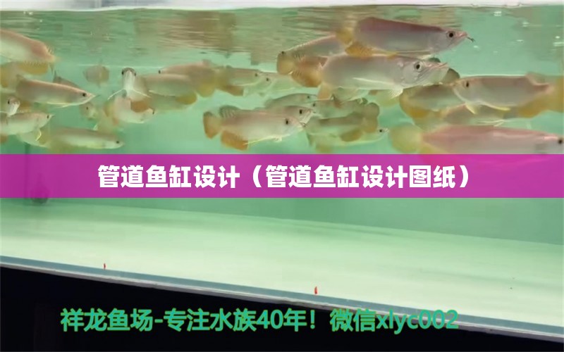 管道魚缸設(shè)計（管道魚缸設(shè)計圖紙） 廣州觀賞魚批發(fā)市場