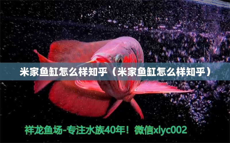 米家魚缸怎么樣知乎（米家魚缸怎么樣知乎）