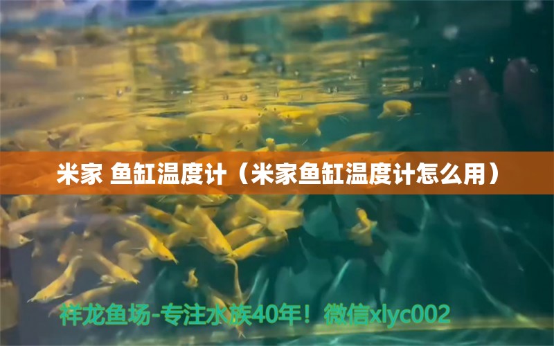 米家 魚缸溫度計（米家魚缸溫度計怎么用）