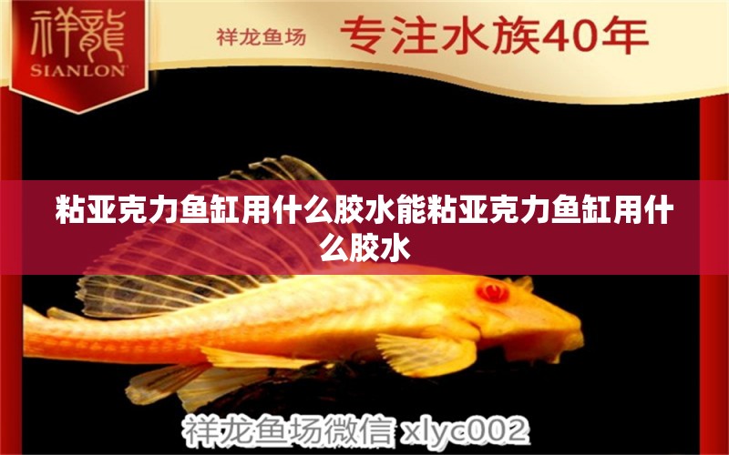 粘亞克力魚缸用什么膠水能粘亞克力魚缸用什么膠水 養(yǎng)魚知識