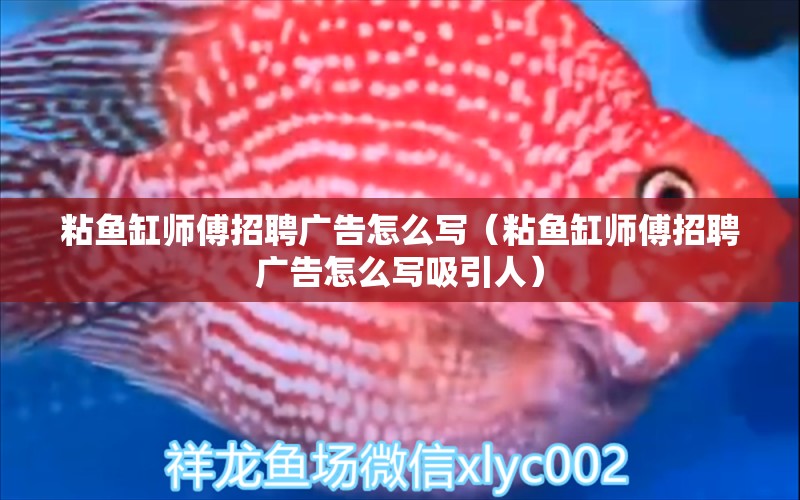 粘魚缸師傅招聘廣告怎么寫（粘魚缸師傅招聘廣告怎么寫吸引人） 祥龍水族醫(yī)院