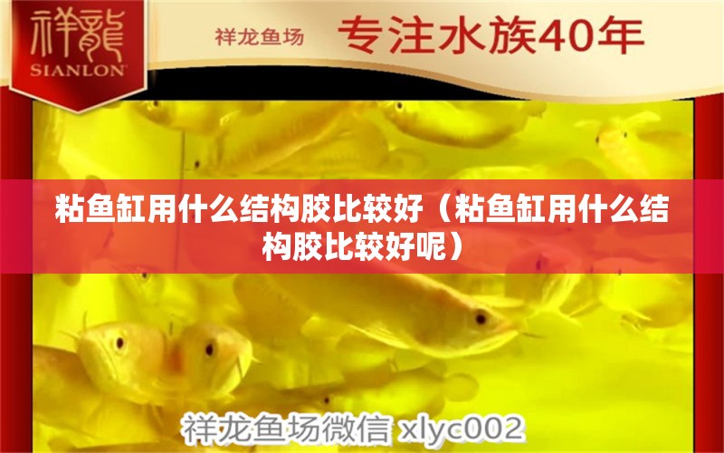 粘魚缸用什么結(jié)構(gòu)膠比較好（粘魚缸用什么結(jié)構(gòu)膠比較好呢） 祥龍水族醫(yī)院