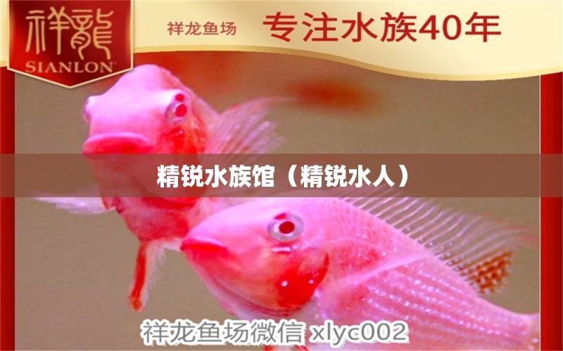 精銳水族館（精銳水人） 全國水族館企業(yè)名錄