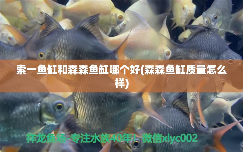 索一魚缸和森森魚缸哪個好(森森魚缸質(zhì)量怎么樣)