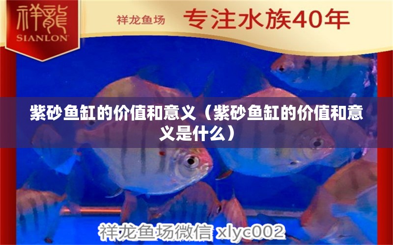 紫砂魚缸的價值和意義（紫砂魚缸的價值和意義是什么）