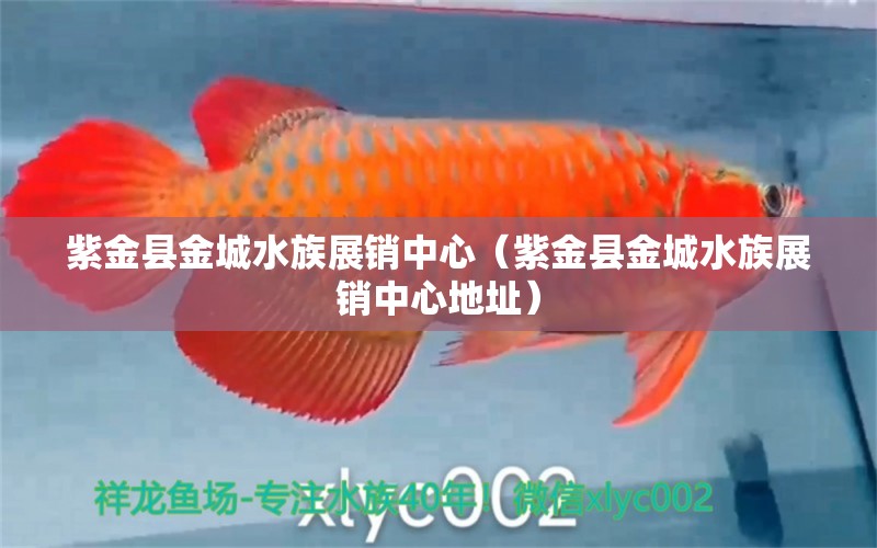 紫金縣金城水族展銷中心（紫金縣金城水族展銷中心地址）