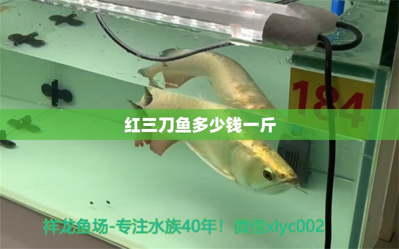 紅三刀魚多少錢一斤