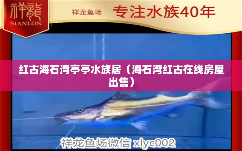 紅古海石灣亭亭水族居（海石灣紅古在線房屋出售） 全國(guó)水族館企業(yè)名錄