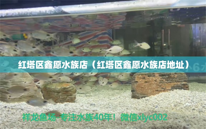 紅塔區(qū)鑫愿水族店（紅塔區(qū)鑫愿水族店地址） 全國(guó)水族館企業(yè)名錄