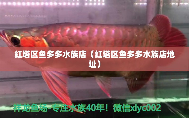 紅塔區(qū)魚多多水族店（紅塔區(qū)魚多多水族店地址）