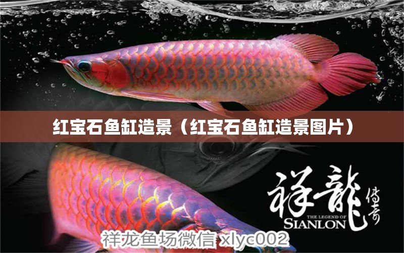 紅寶石魚缸造景（紅寶石魚缸造景圖片） 祥龍魚場