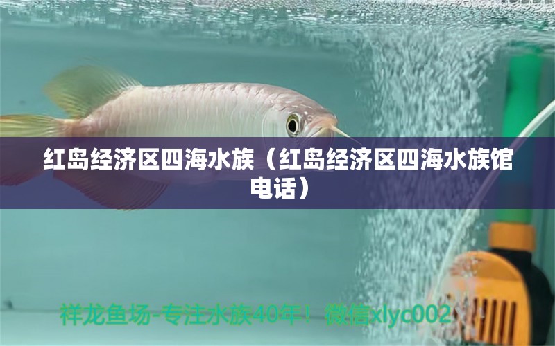 紅島經(jīng)濟區(qū)四海水族（紅島經(jīng)濟區(qū)四海水族館電話）