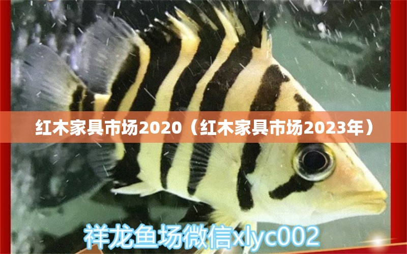 紅木家具市場(chǎng)2020（紅木家具市場(chǎng)2023年）