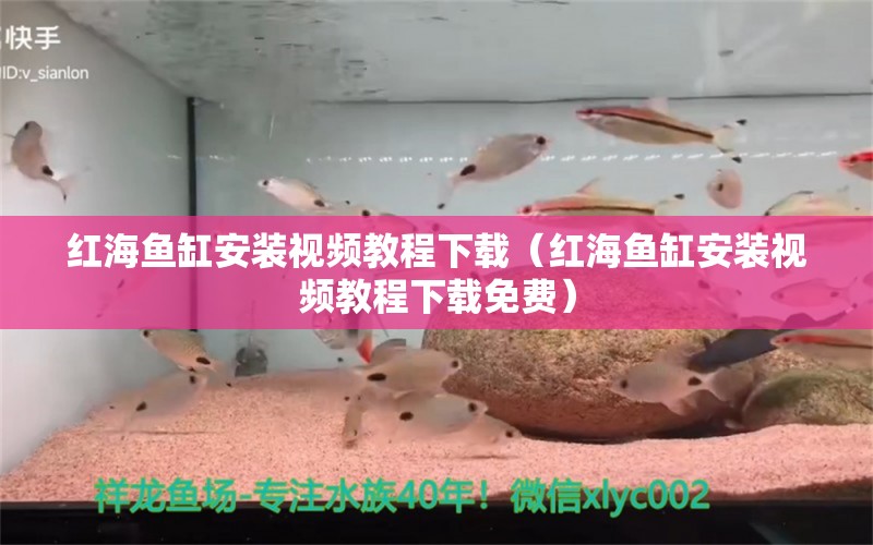 紅海魚(yú)缸安裝視頻教程下載（紅海魚(yú)缸安裝視頻教程下載免費(fèi)）