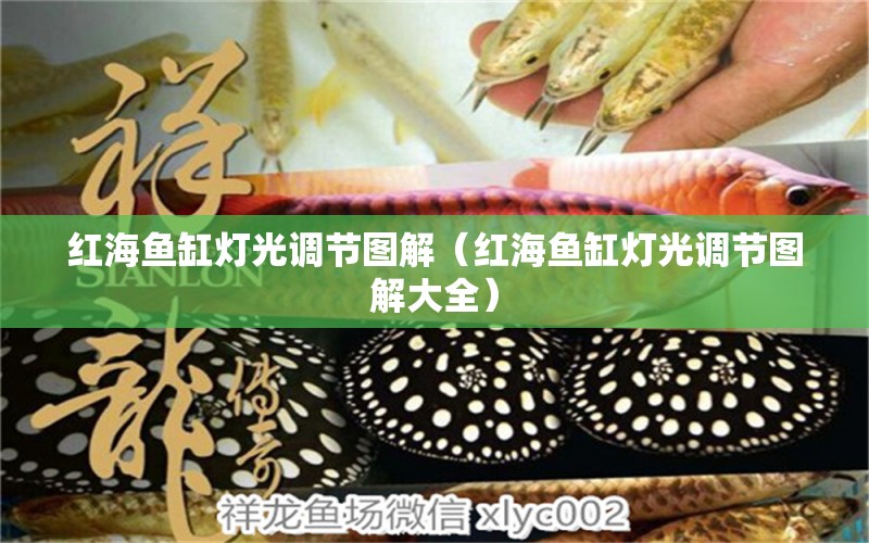 紅海魚(yú)缸燈光調(diào)節(jié)圖解（紅海魚(yú)缸燈光調(diào)節(jié)圖解大全）