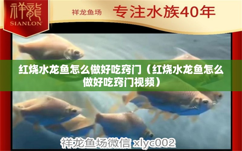 紅燒水龍魚怎么做好吃竅門（紅燒水龍魚怎么做好吃竅門視頻）